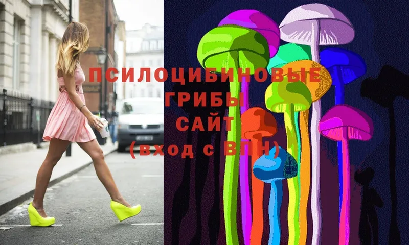 Псилоцибиновые грибы Psilocybe  Заводоуковск 